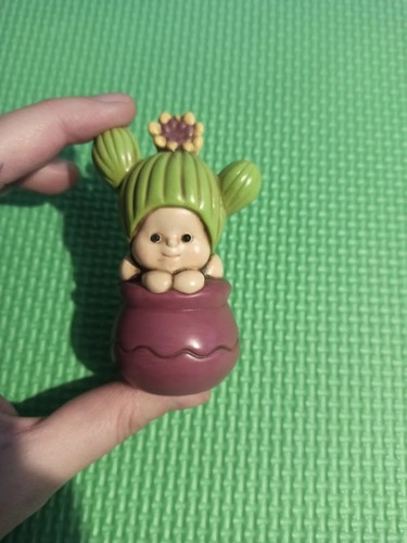 Egan bimbo bambino cactus - egan,
